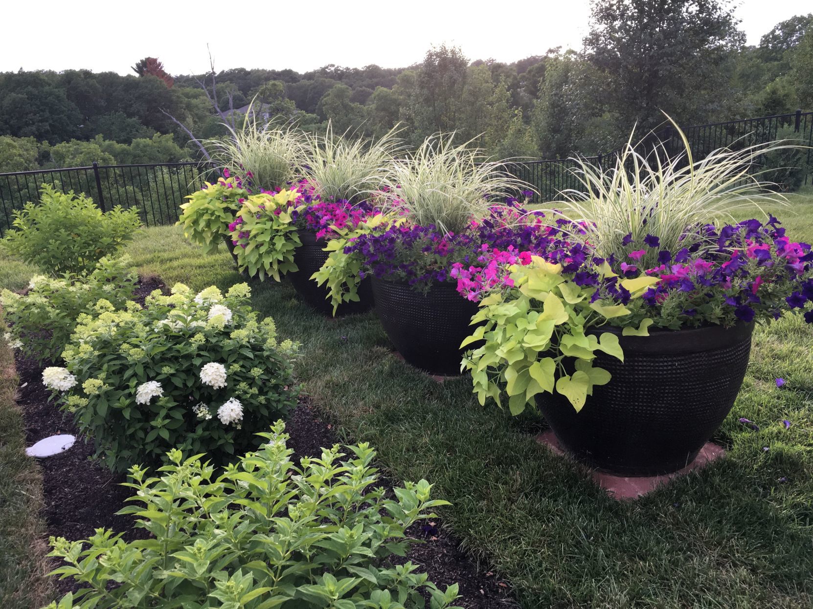 Color Galore!